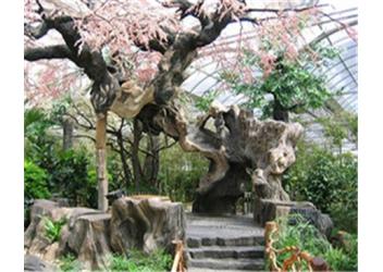 仿真花树古树